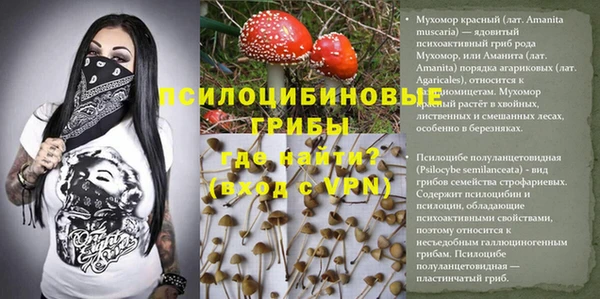 мяу мяу мука Белокуриха