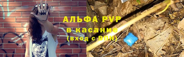 мяу мяу мука Белокуриха