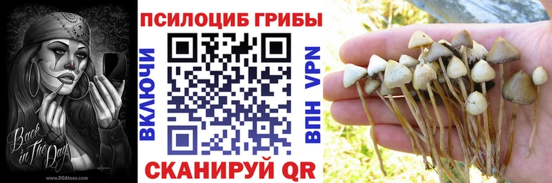 дарк нет как зайти  Котлас  Галлюциногенные грибы мицелий  блэк спрут ТОР 