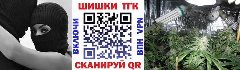 Канабис AK-47  где купить наркоту  Котлас 